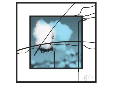 glasmalerei-fusing-kunstverglasung-Baumwolle-Blüten